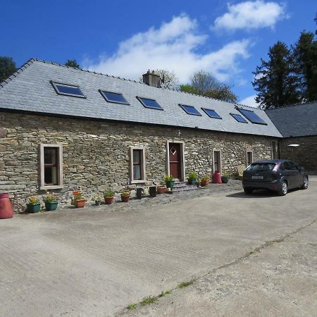 The Old House Villa Carrick-on-Suir Exterior photo