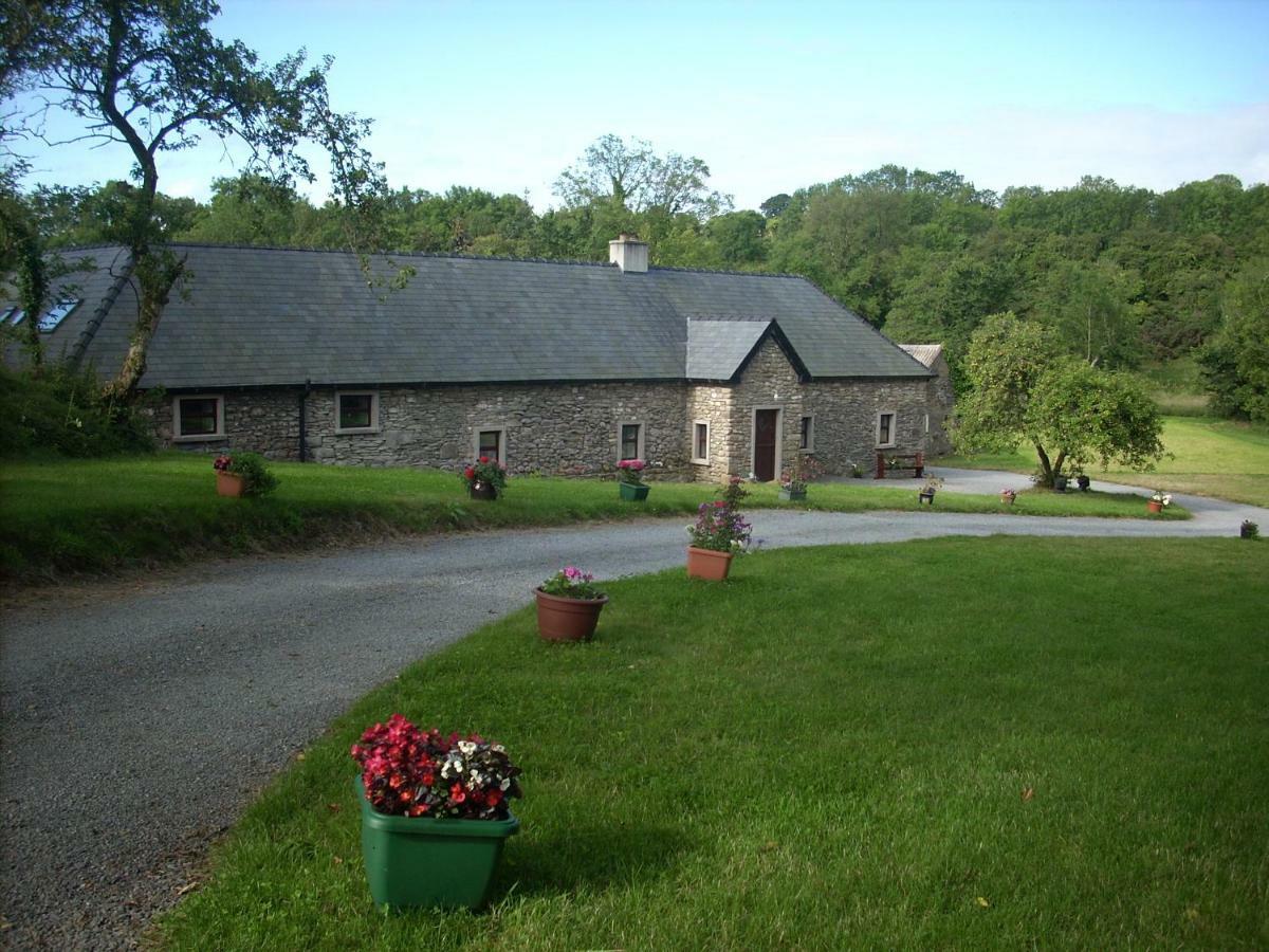 The Old House Villa Carrick-on-Suir Exterior photo