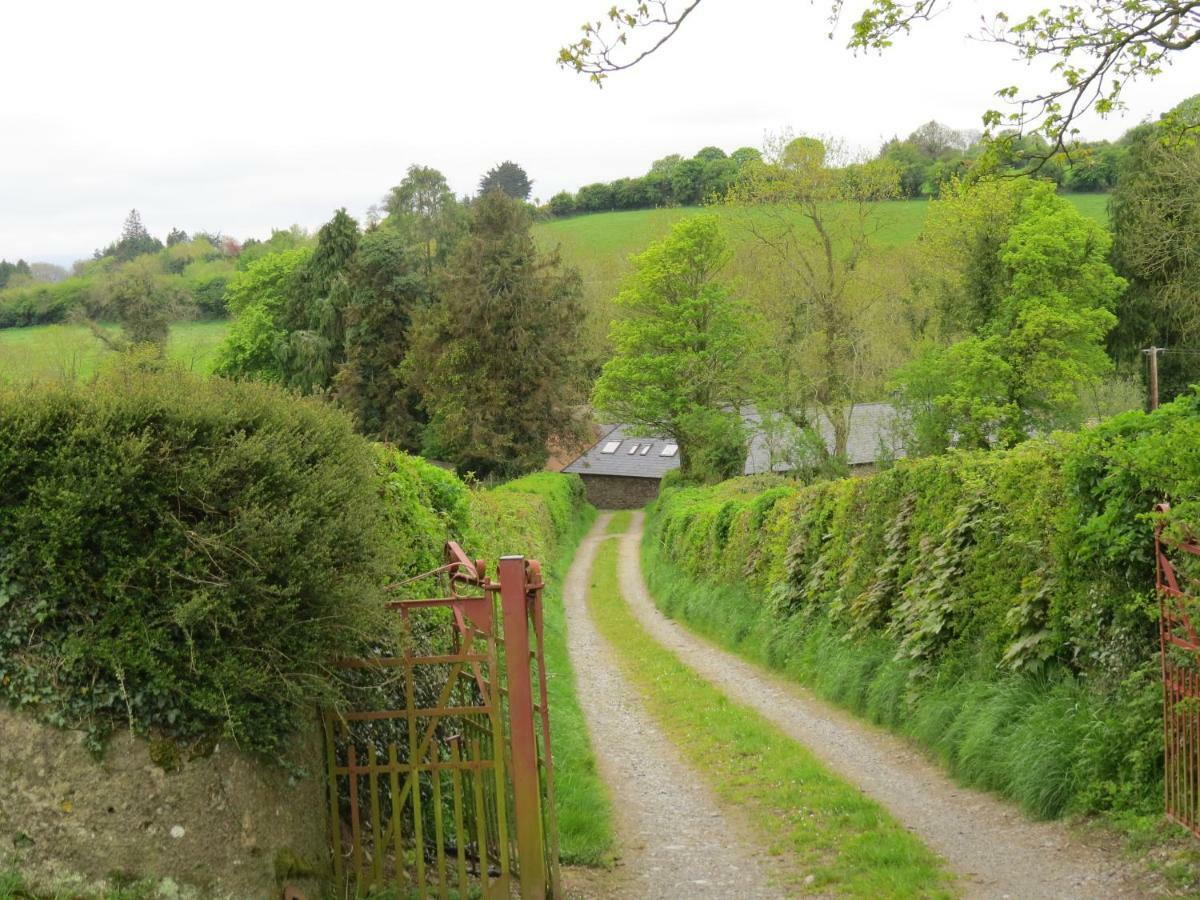 The Old House Villa Carrick-on-Suir Exterior photo