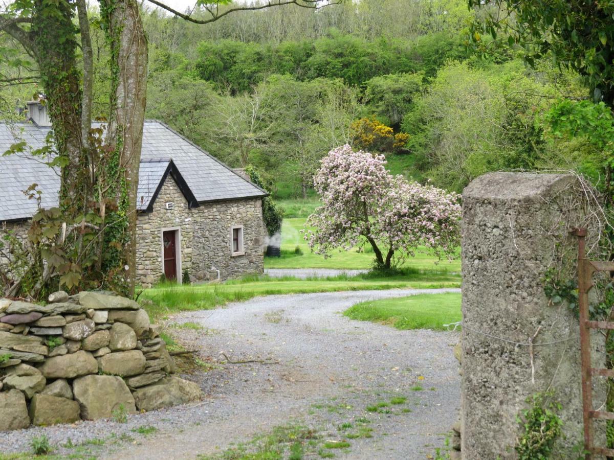 The Old House Villa Carrick-on-Suir Exterior photo