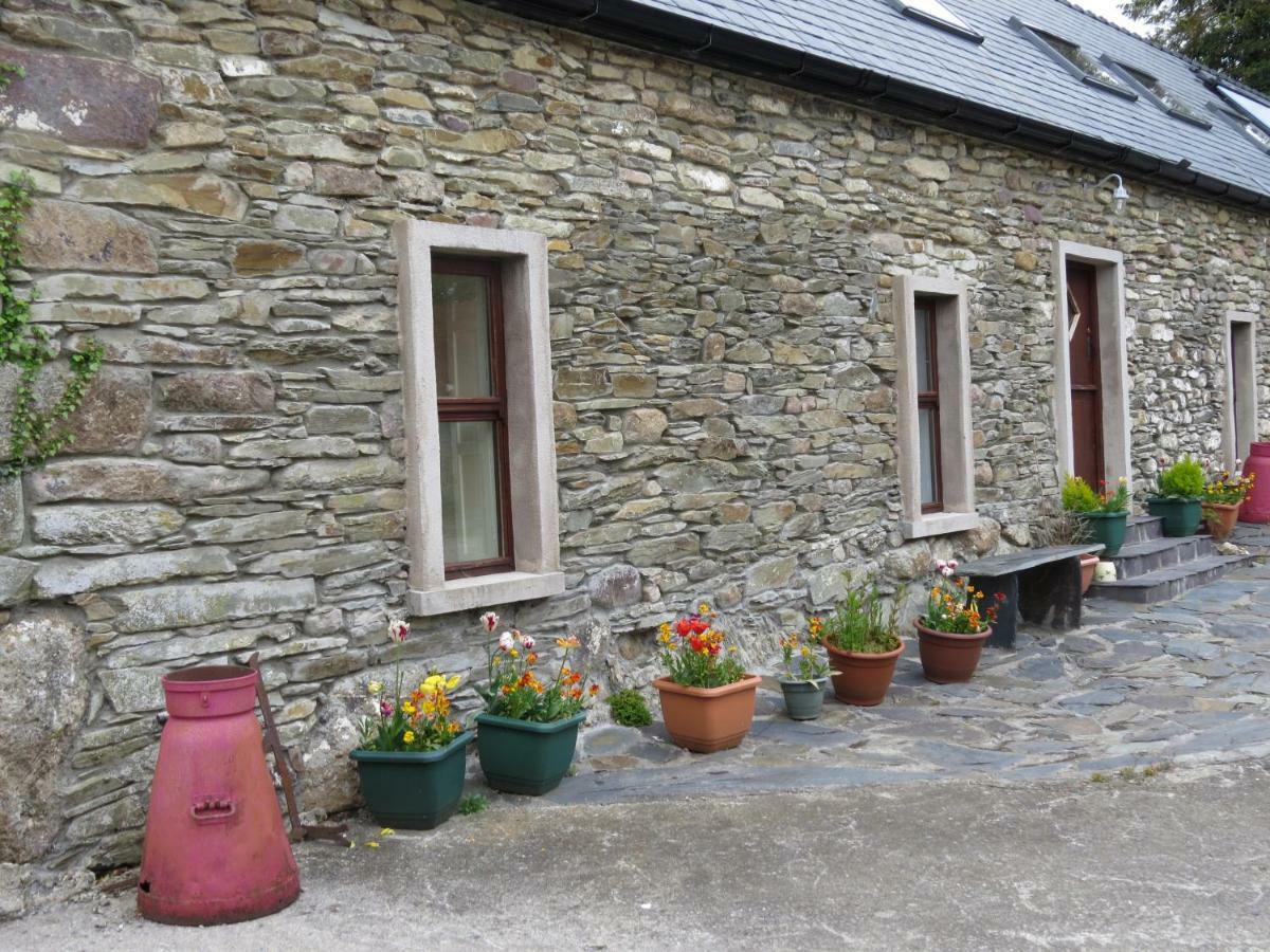 The Old House Villa Carrick-on-Suir Exterior photo